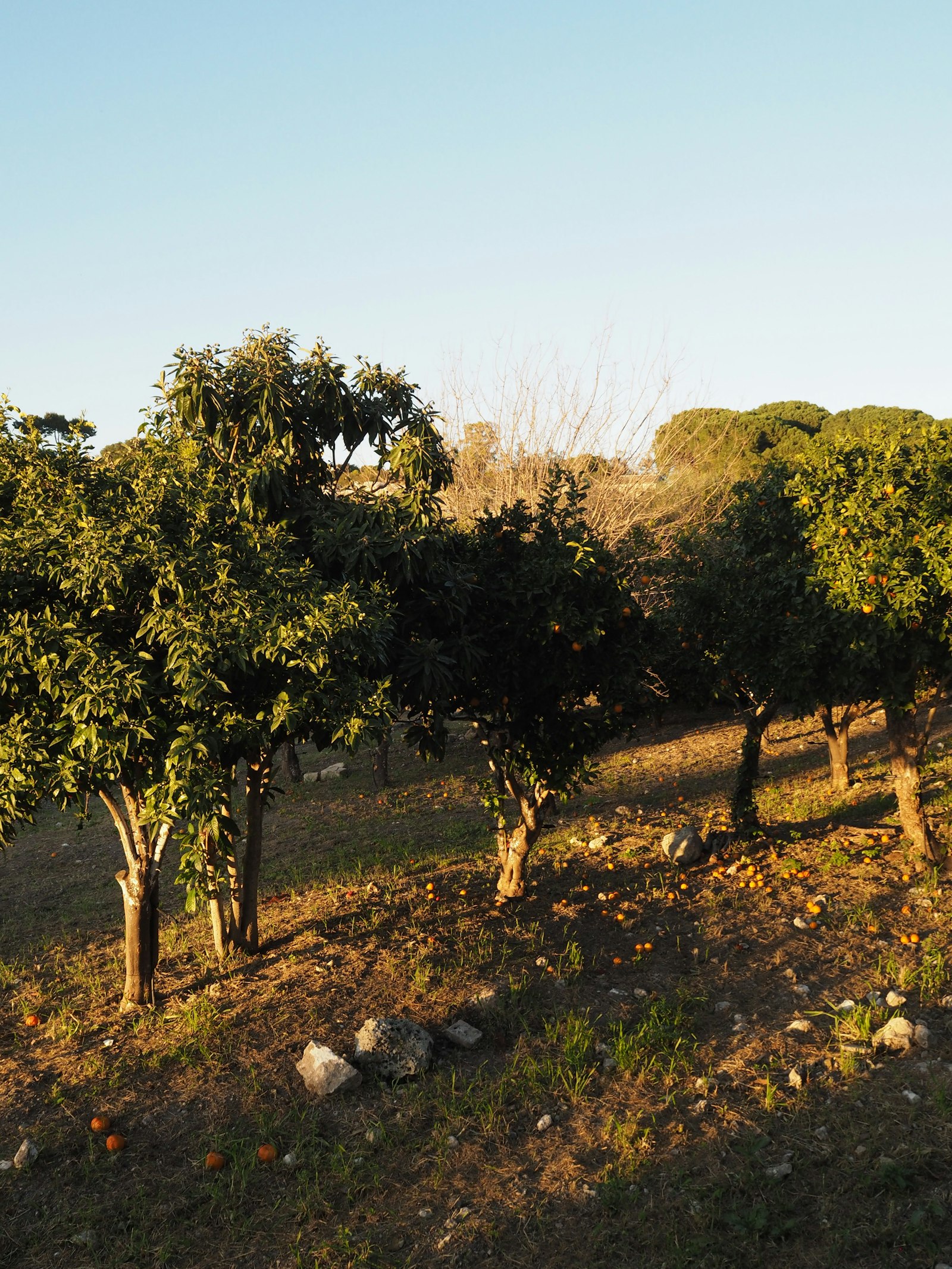 Responsible farming