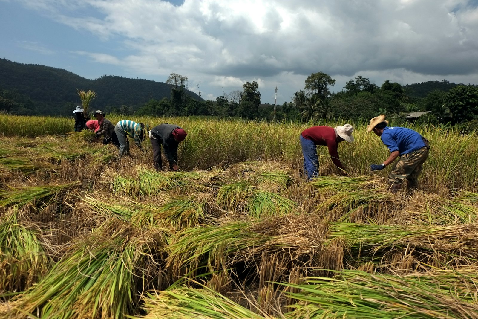 VitaSouss team member in the field