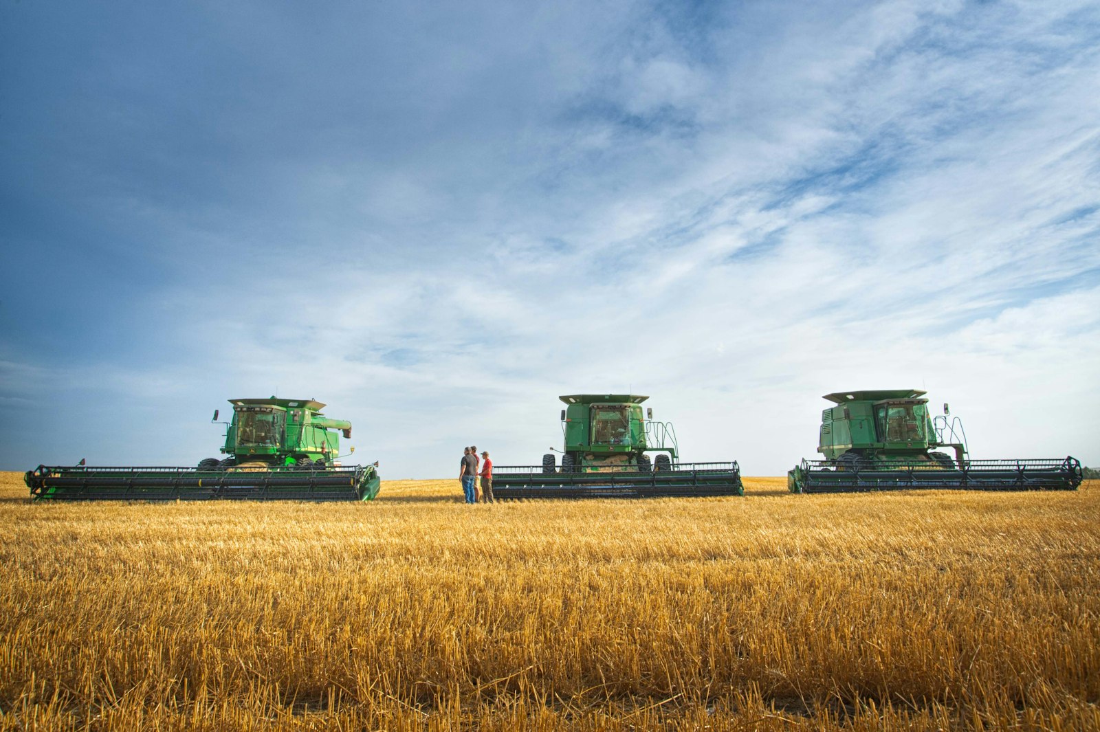 Workers in the field
